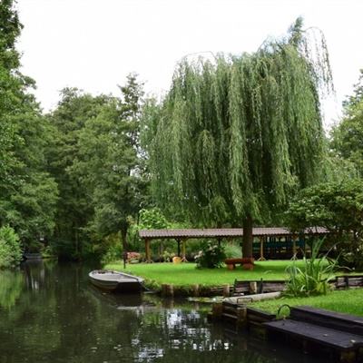 新澳门游戏网站入口