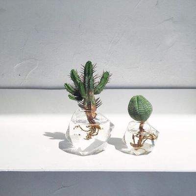 极速赛车游戏app下载